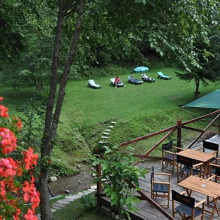 Pensiunea Anotimpuri 3*
