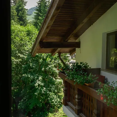 Maison d'hôtes Pensiunea Anotimpuri 3*